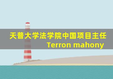 天普大学法学院中国项目主任 Terron mahony